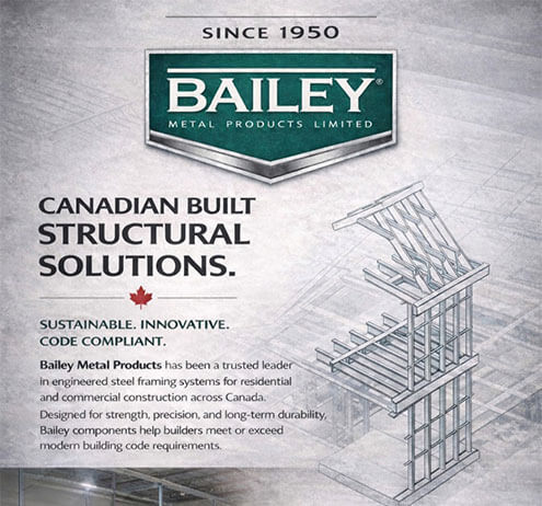 Bailey poster image